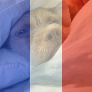 Meet your Posher, Justin